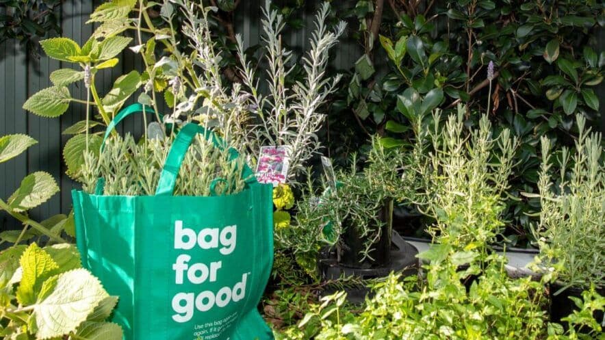 Woolworths announces Junior Landcare Grants winners