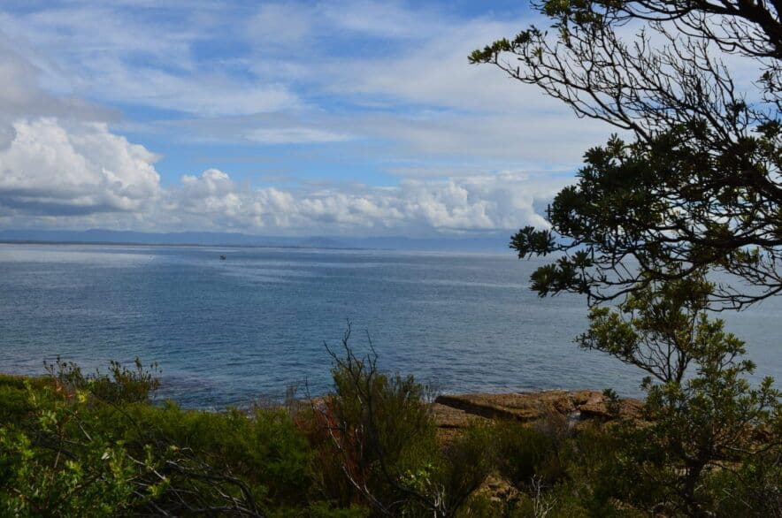 Reconnect Gathering celebrates a year of the Boori Milumba program