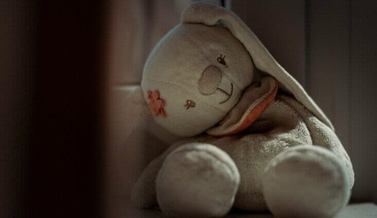 AFP and NSW Police notify more than 1,000 Sydney families following OOSH educator arrest