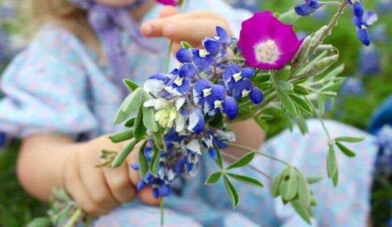 Through my eyes: A little thank you on Early Childhood Educators’ Day