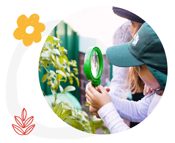 Woolworths Junior Landcare Grants now open