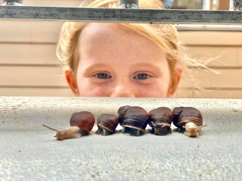 Distance education preschoolers back to mini school for first time since pandemic