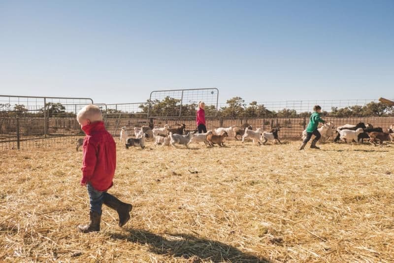 HELP debt cut for early childhood teachers who work in very remote Australia