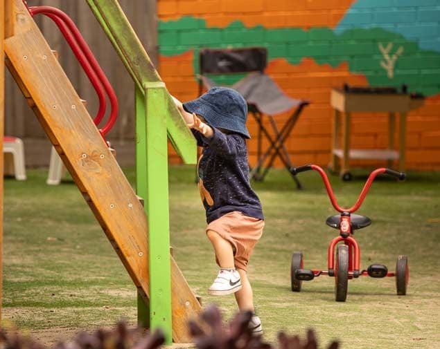 Apiary Fellowship seeking further applications for 2023 year of learning and change 