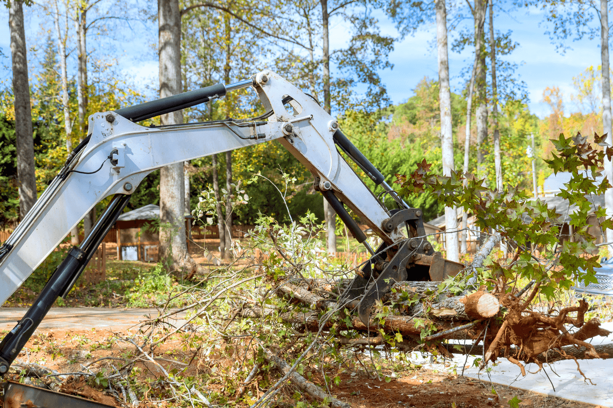 Navigating Queensland’s new land clearing reforms: what it means for childcare development
