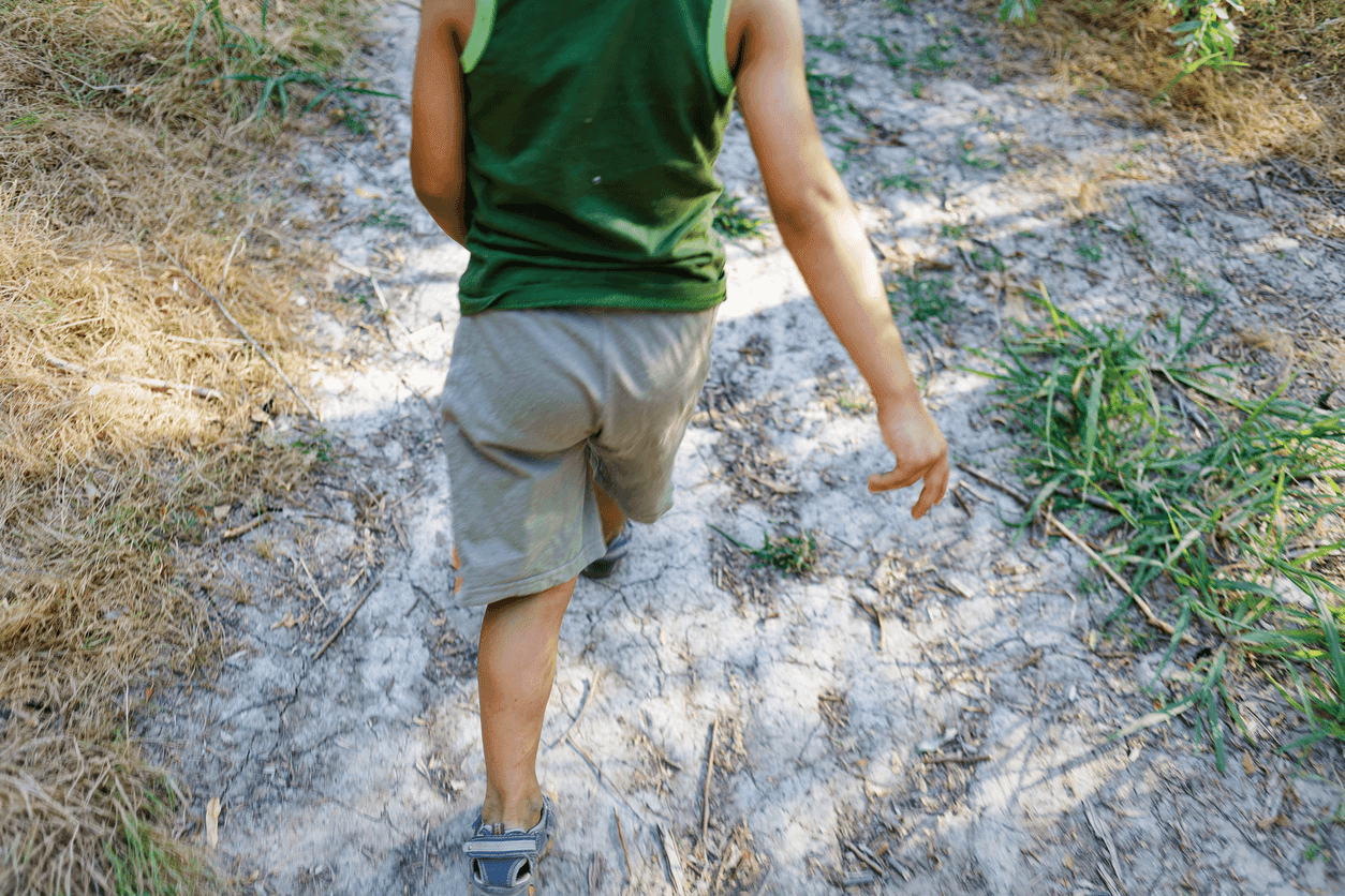 Queensland approved provider fined $15,000 after toddler leaves bush excursion unnoticed