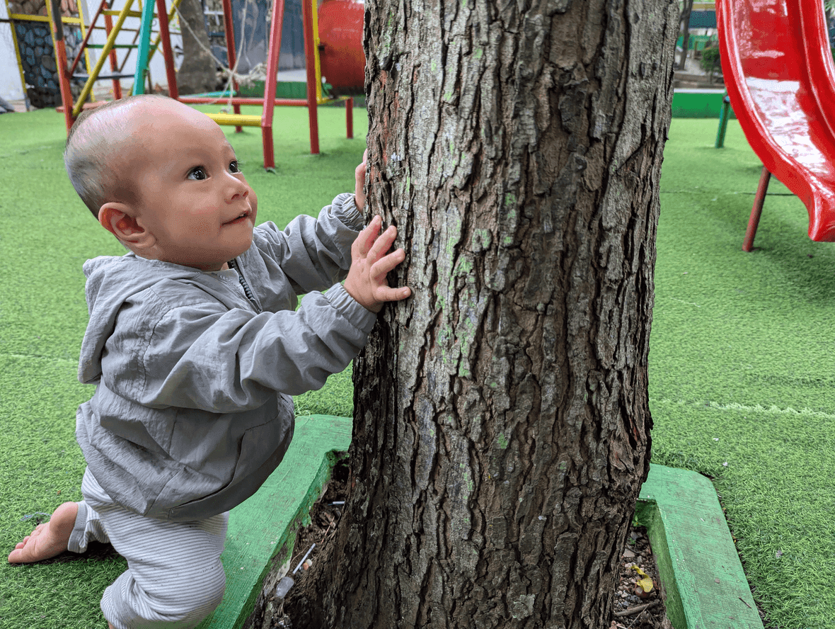 Restacking the Odds Impact Report highlights gains in early years systems reform