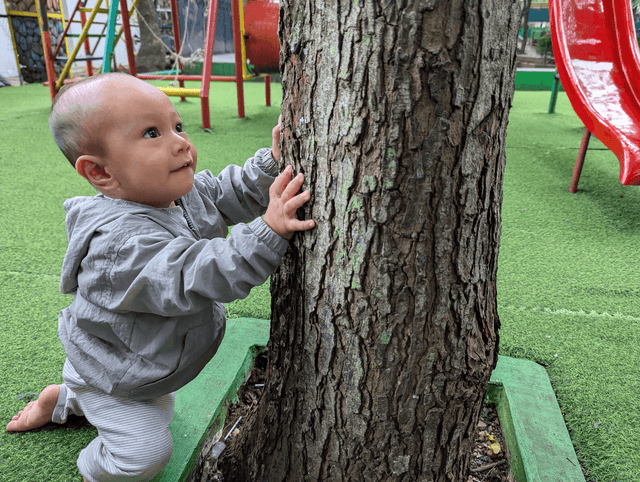 Restacking the Odds Impact Report highlights gains in early years systems reform