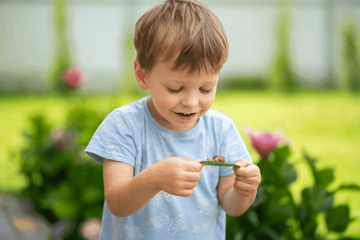 Making bush kinder learning visible without turning it into a checklist