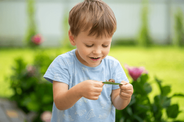 Making bush kinder learning visible without turning it into a checklist