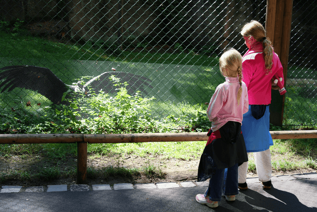 Extend receives $37,500 penalty after children left unsupervised during OSHC excursion
