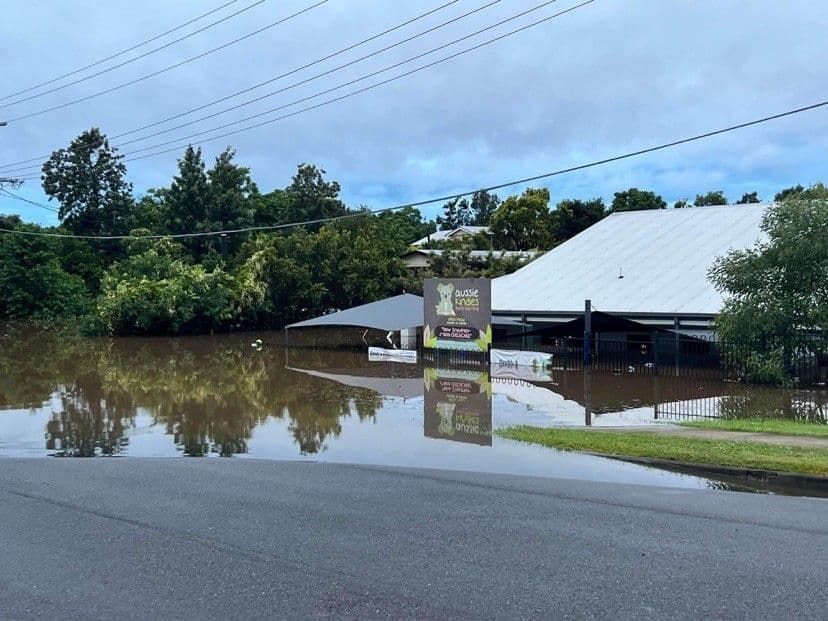 Aussie Kindies North Ipswich bounces back after extreme flooding with new name