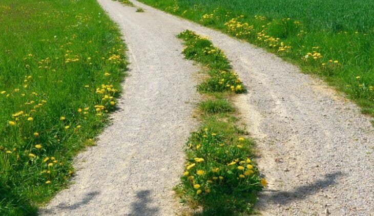 Fresh Start program creates new early childhood education apprenticeships, traineeships and cadetships in NSW councils