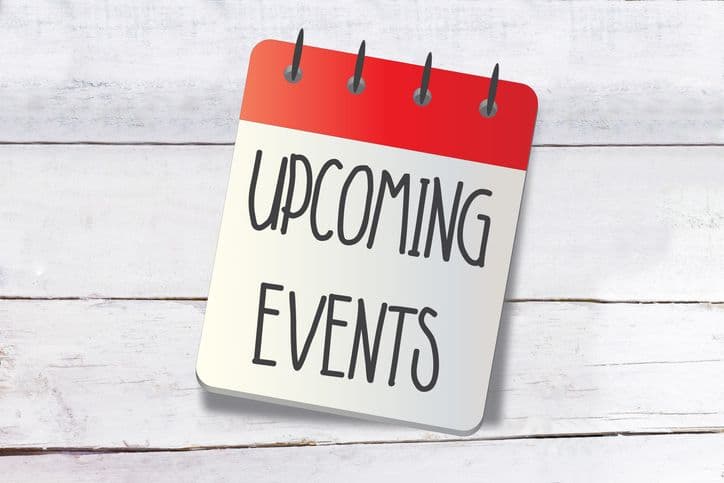 The Sector extends on Connect+ events with new series of niche ECEC Forums