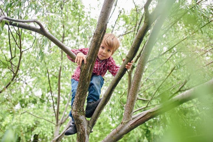 Link between risky outdoor play and STEM established in new research paper