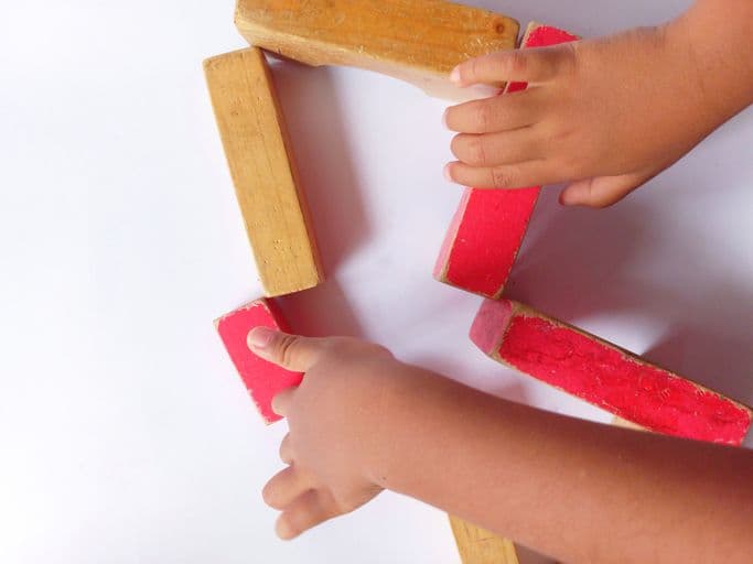 A legacy of leadership: Defining the role of Centre Director