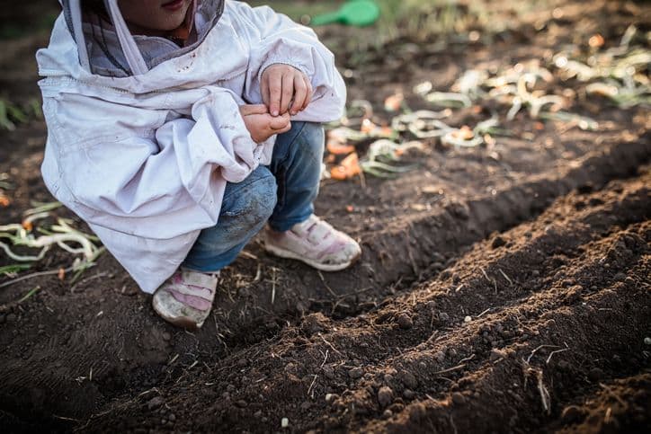 Immunity and gut health boosted by ECEC outdoor play, Flinders study finds