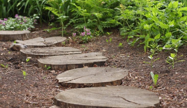 Movement and the mind: exploring executive function in the early years