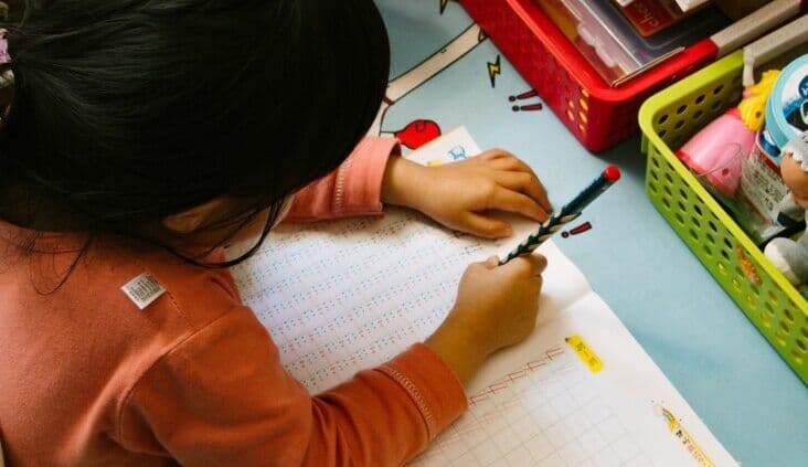 Hundreds of families across south-eastern New South Wales will soon gain greater access to high-quality, fee-free early childhood education