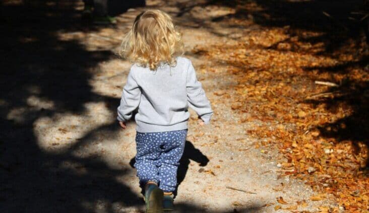 Lord Howe Island preschool faces possible closure amid housing-driven staffing crisis