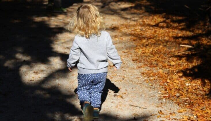 Beyond the exit: What Centacare’s Brisbane closure reveals about continuity in disability care