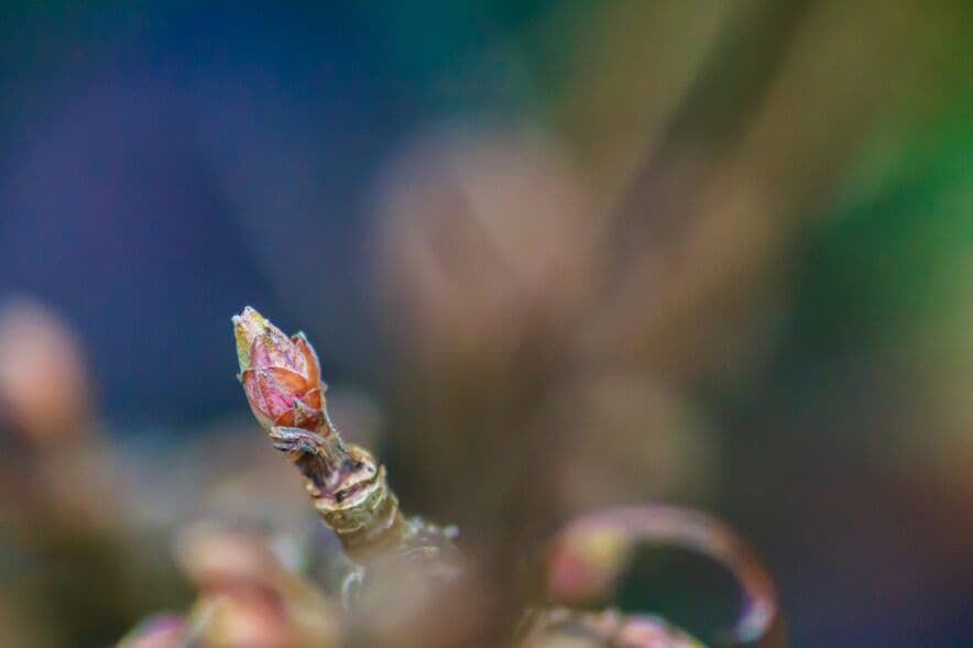 ECEC lands in top 3 for most popular courses for nationwide Free TAFE