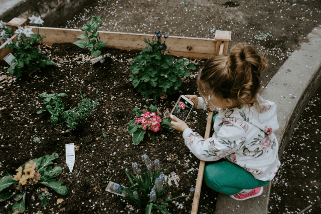 Gardening Australia Junior helps early learners grow through nature-based inquiry