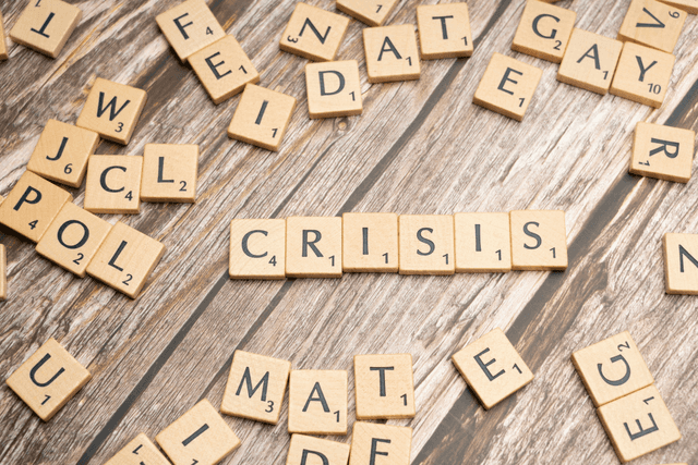 What is missing in the ECEC sector to support proactive crisis management?
