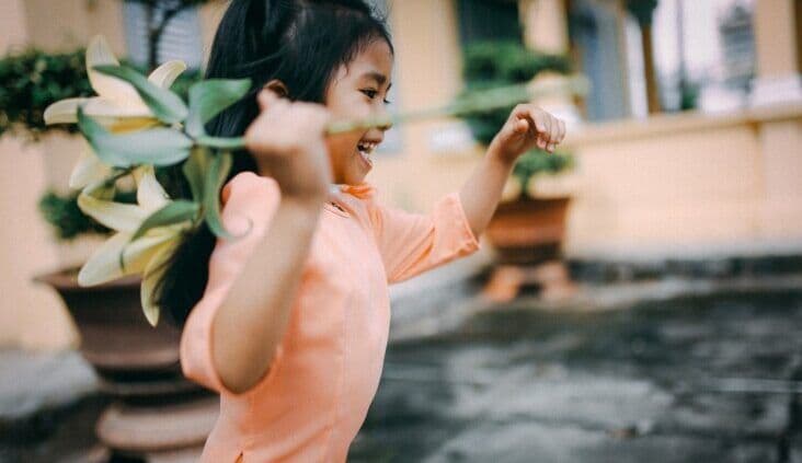 The Wiggles branch out with the Tree of Wisdom on energetic new single