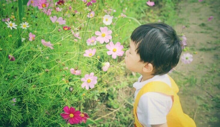 New national platform allergy assist® launched to support GPs in allergy diagnosis and management