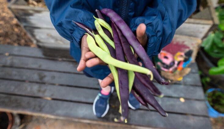 Nurturing young gardeners: Early childhood services shine in 2025 National Kitchen Garden Awards
