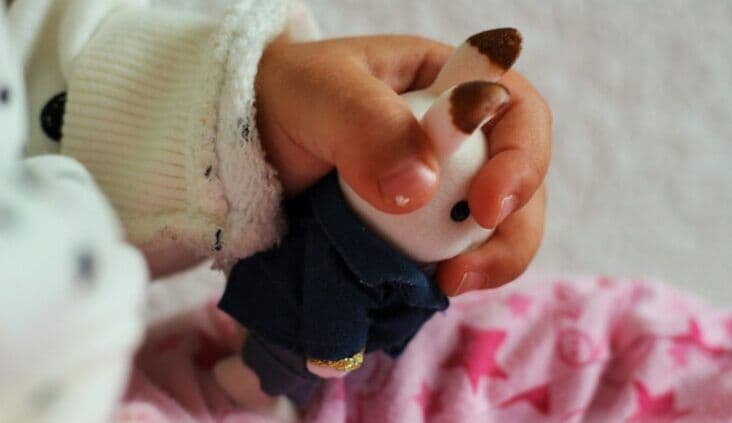 Further charges laid in early childhood case as provider reinforces commitment to child safety