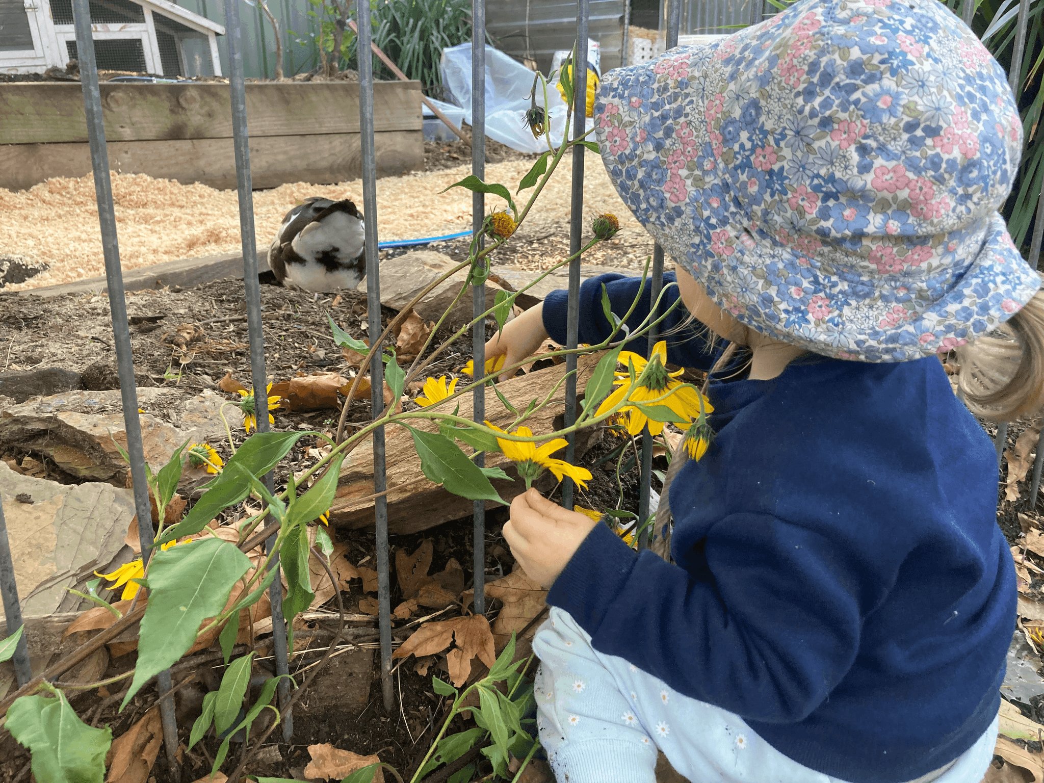 ACT climate listening report confirms urgent need to include the early years 