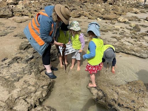 Educators need to think about bush kinder as part of the whole preschool experience