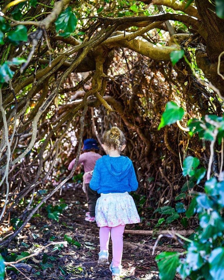 Study links absence of green space for children to adult mental health risk