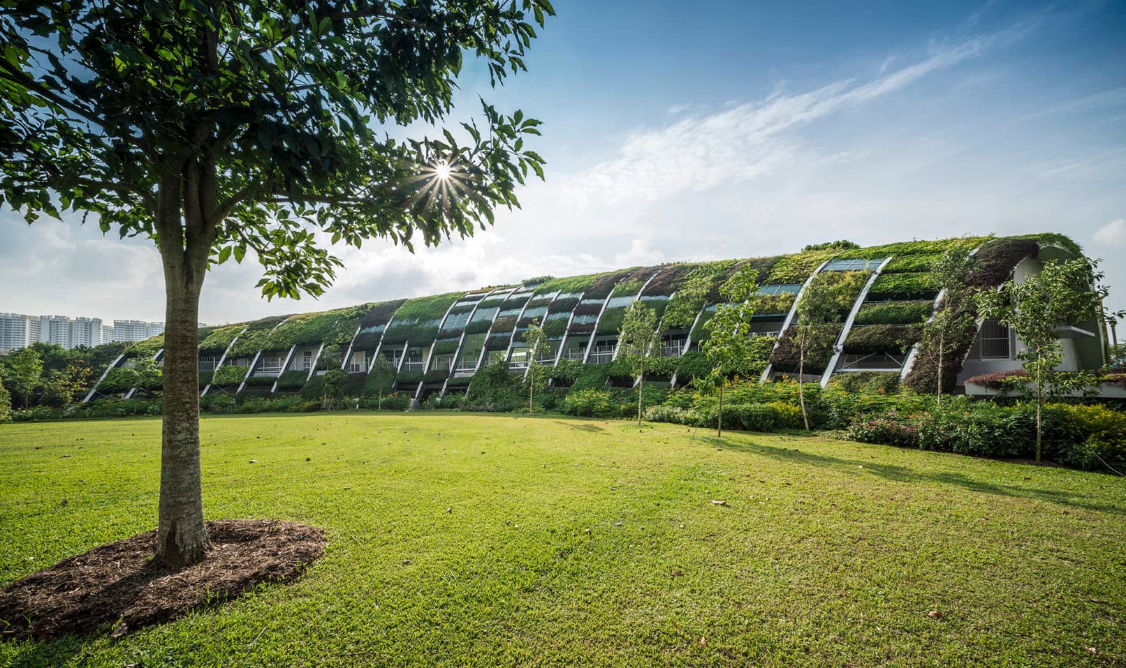 Innovative Singaporean ECEC campus wins International Architecture Award