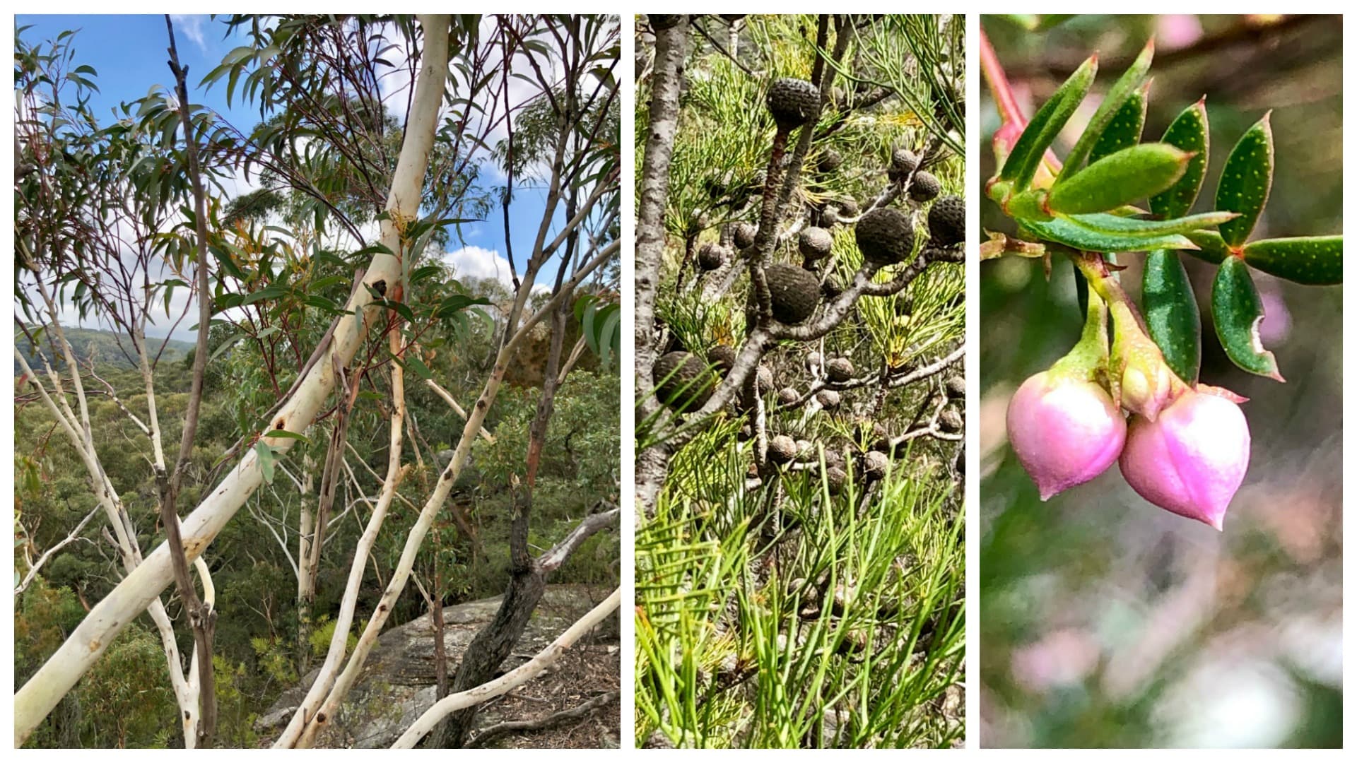 Bringing about a change in the education climate