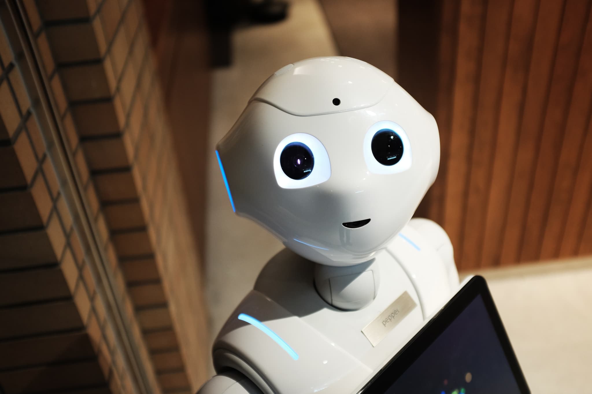 ARC explores automated decision making – what will it mean for ECEC?