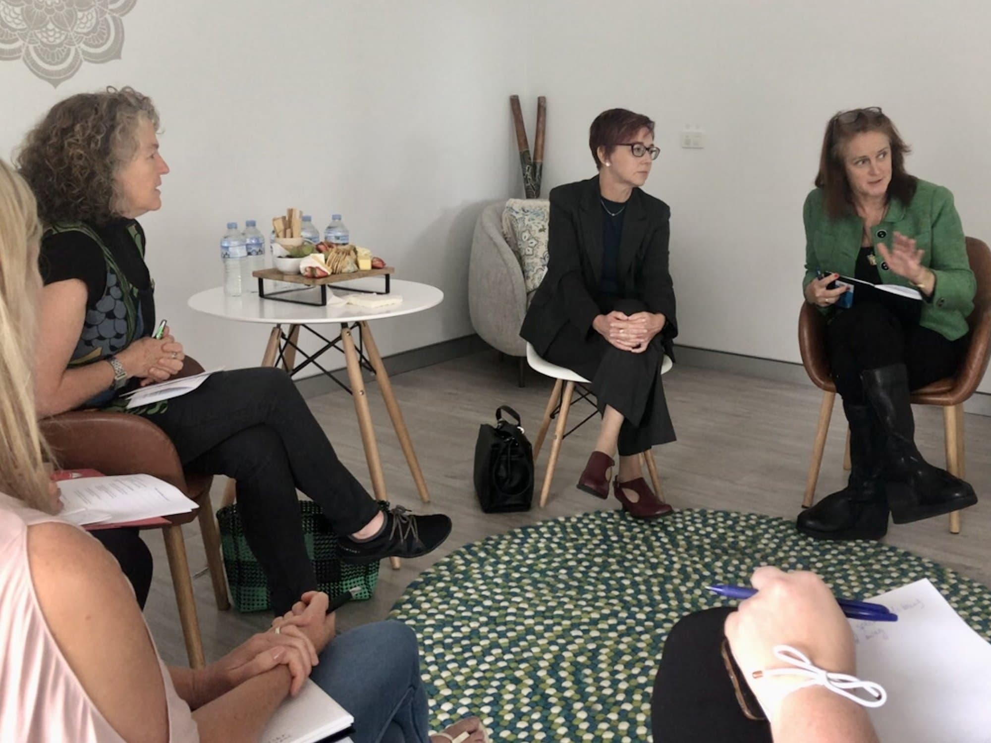 Early childhood leaders voice their concerns to shadow ECEC minster