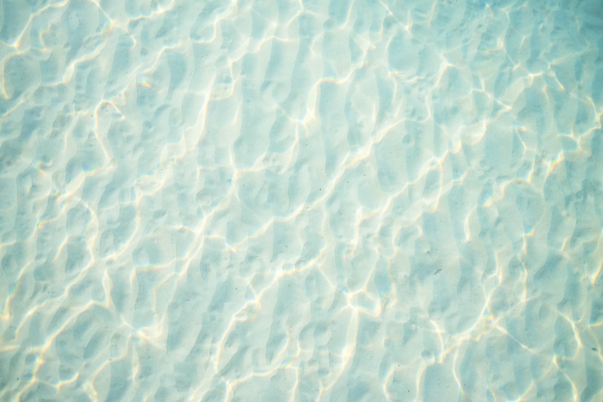 JCU researchers highlight the danger of portable pools as we head into summer