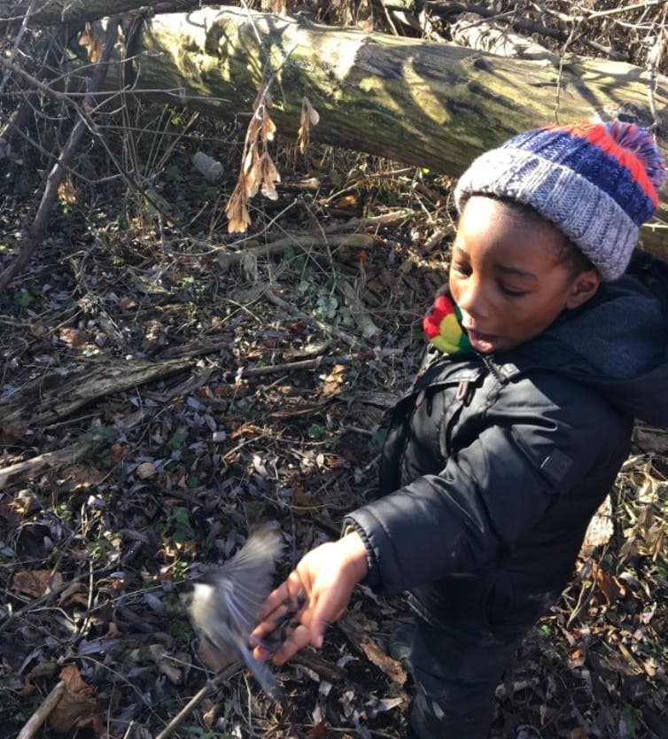 Wonder and wisdom in a children’s forest nature program