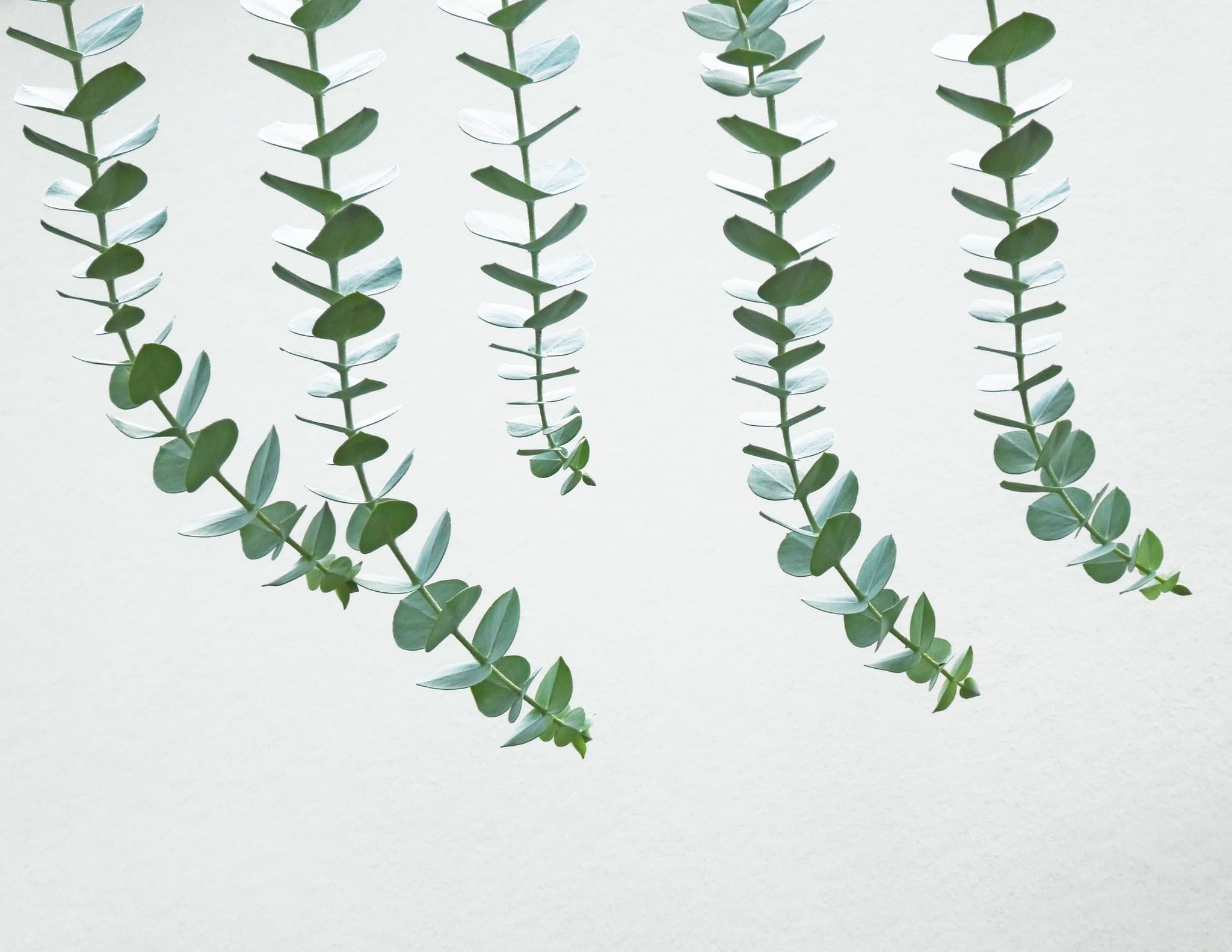 MCRI issues advice about infants and bushfire smoke