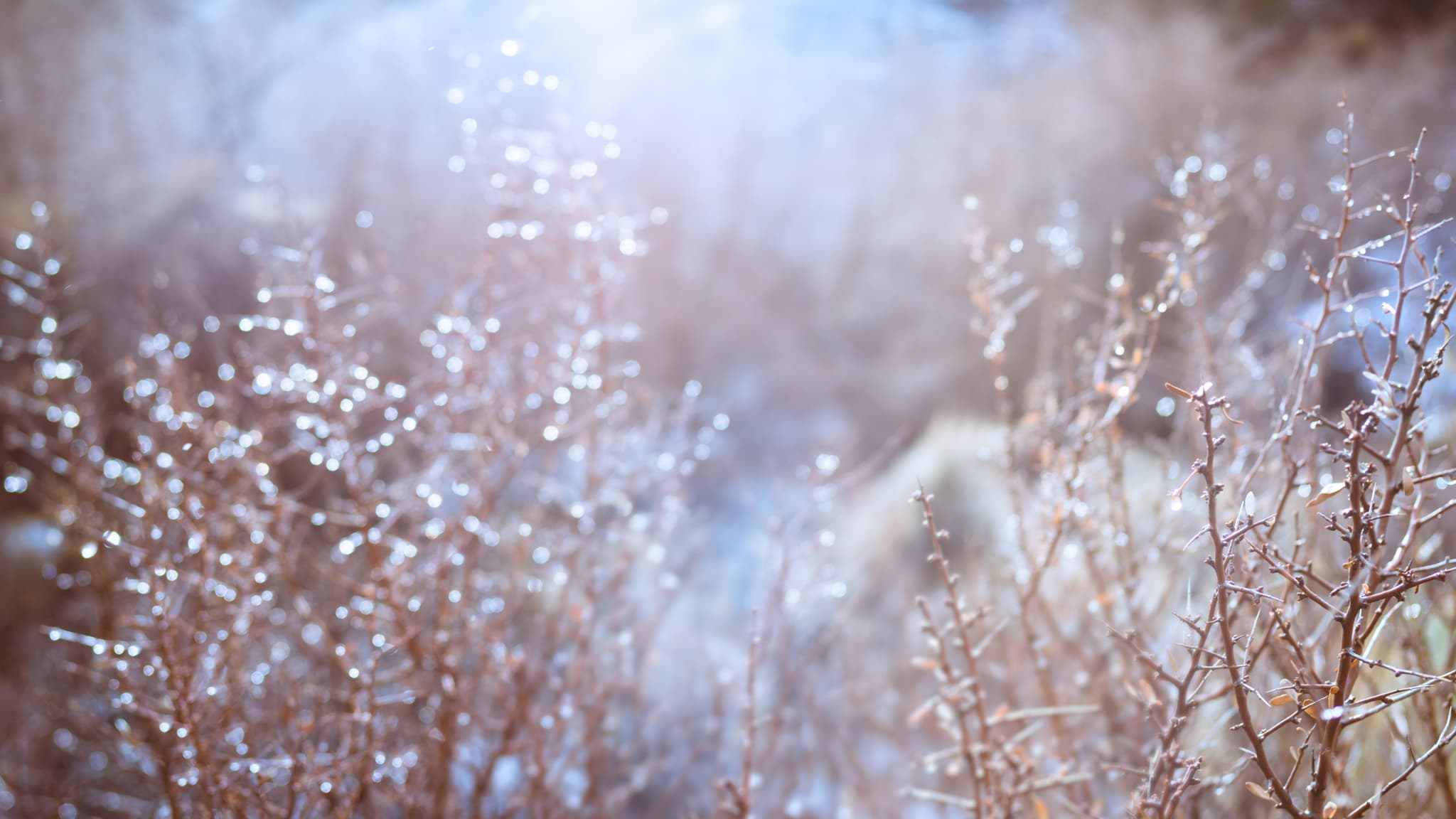 Aboriginal children are over-represented in the child protection system, AbSec notes