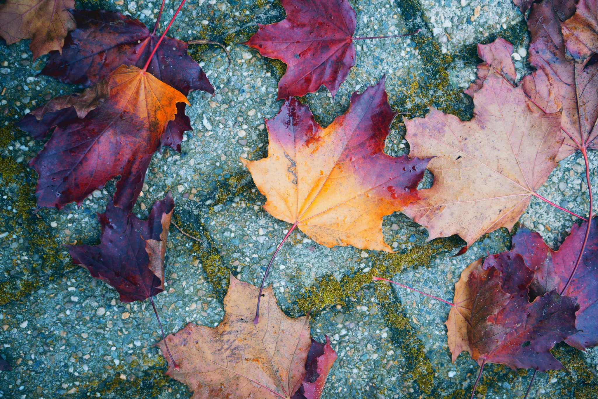 Funding extensions and changes from 1 July 2020 – are you across the DSS updates?