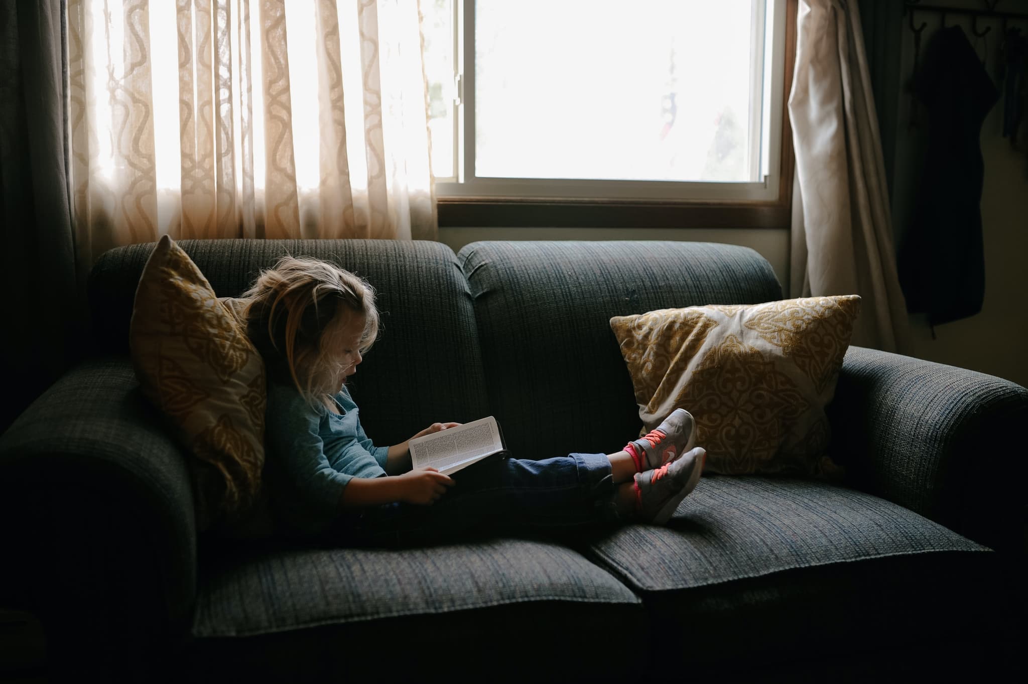 Tell me the how, show me the why: Children want books rich in causal information