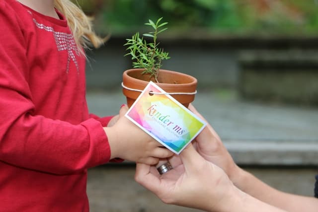 Kinder m8 becomes latest platform to receive approval to launch new CCS system