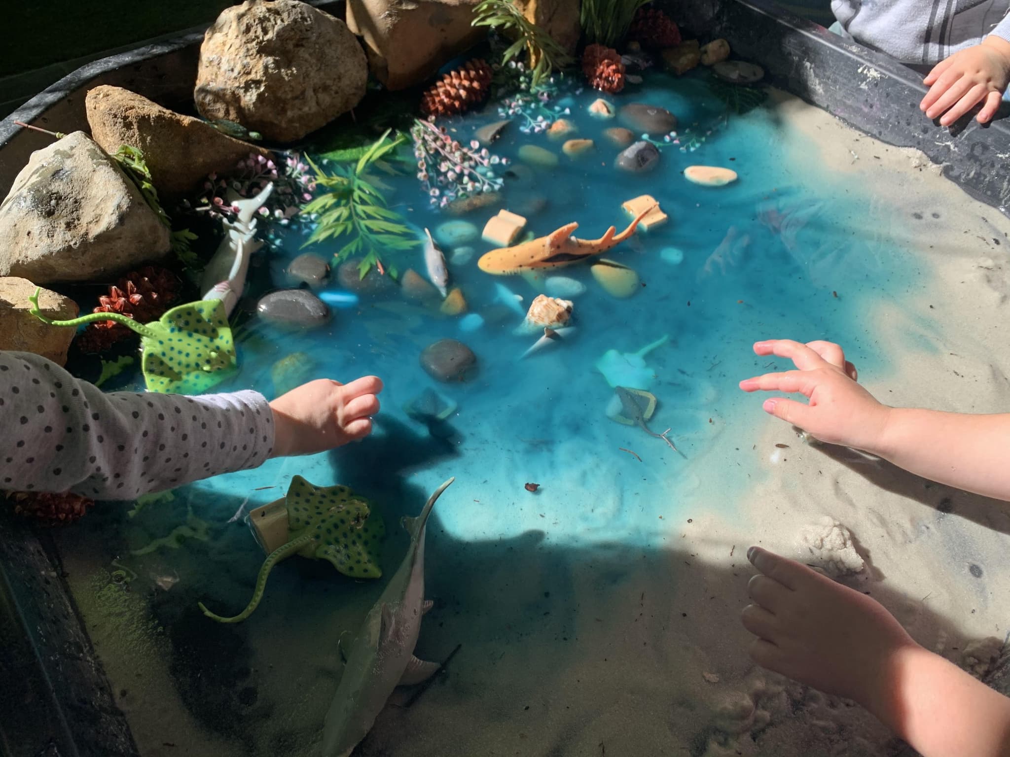 How one ECEC educator has used her love of intentional spaces to inspire others