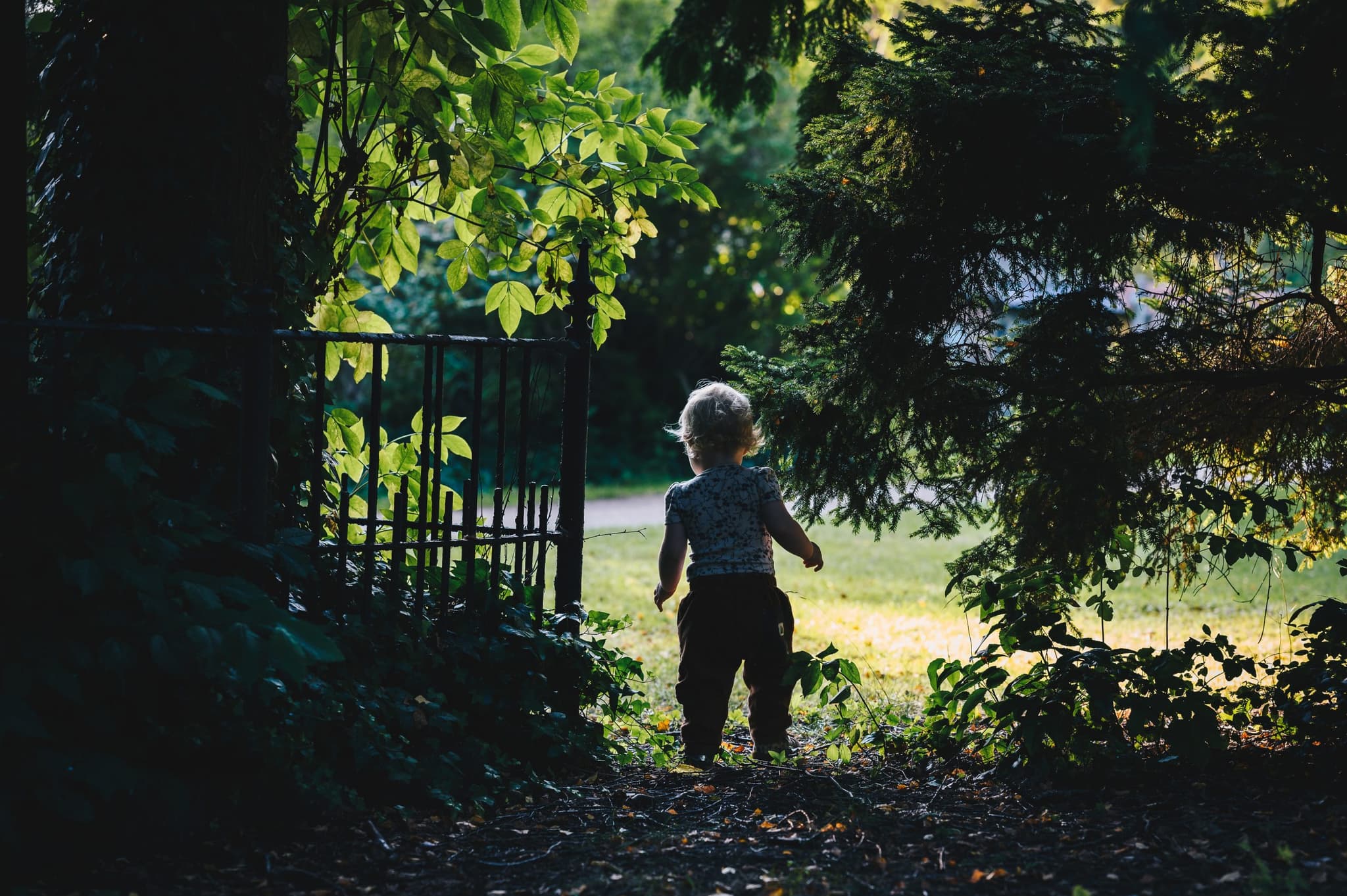 ACA Queensland calls for both parties to prioritise children ahead of October election