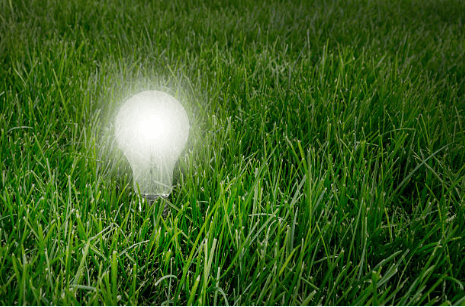 ECEC Innovation Forum 2020 – Virtual Edition preparations move into final stretch