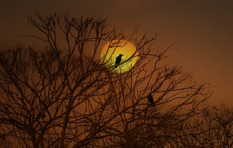 Schools get creative in welcoming children as COVID makes transition visits tough